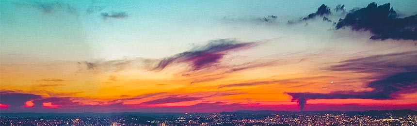 武安茶虫网_武安品茶